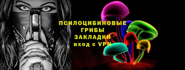 бошки Абаза