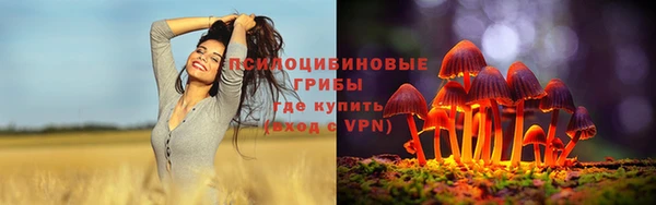 кокс Абдулино