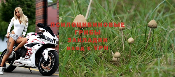 MESCALINE Алзамай
